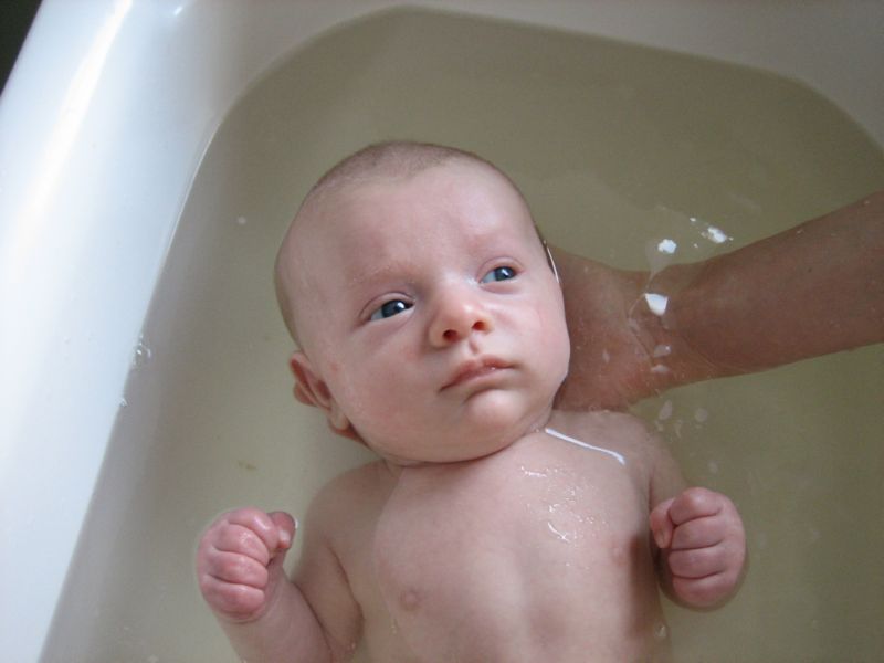 12-Ans 6 weeks old